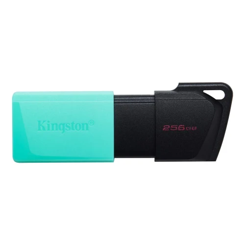 Флеш-накопитель USB Kingston DataTraveler Exodia M, 256Гб, Черный/Синий