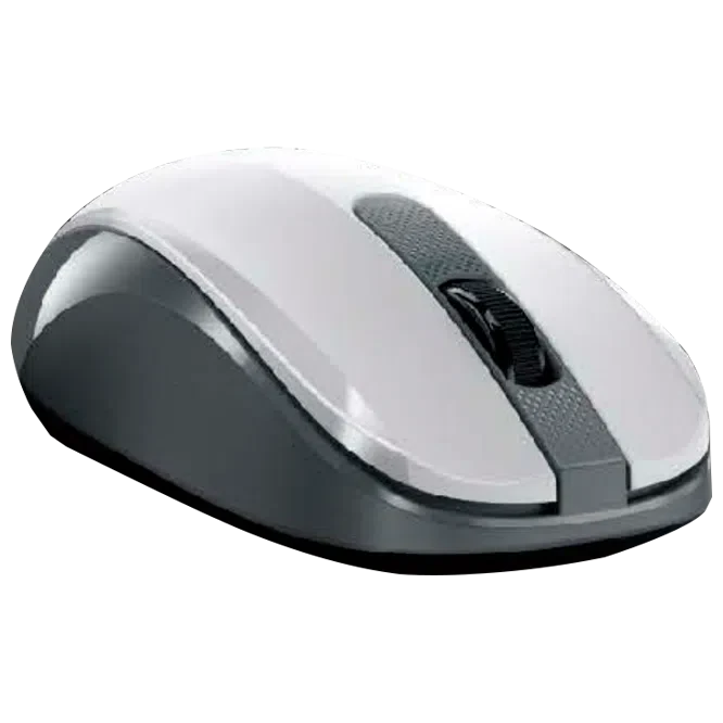 Компьютерная мышь Genius NX-8008S, White/Gray 2