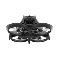 Drona DJI Avata Pro-View Combo (DJI RC Motion 2) Kit (952219) 3