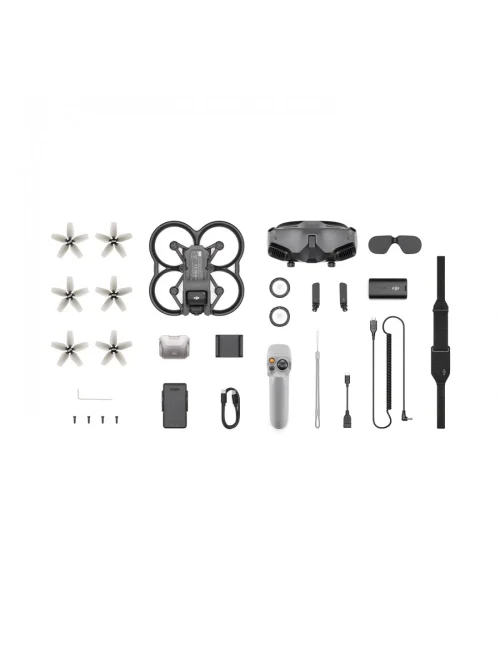 Дрон DJI Avata Pro-View Combo (DJI RC Motion 2) Kit (952219)