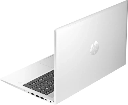 Ноутбук Hp ProBook 455 G10 (725K2EA)