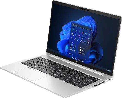 Ноутбук Hp ProBook 455 G10 (725K2EA)
