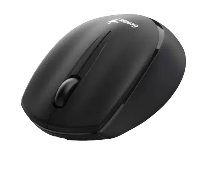 Беcпроводная мышь Genius NX-7009, Чёрный 2