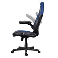 Scaun gaming Trust GXT 703W RIYE Black/Blue 4