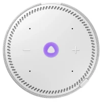 Умная колонка Yandex Station MINI с Алисой, Серый 4