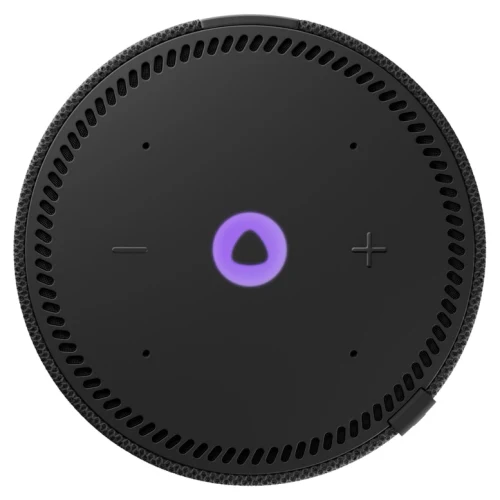Умная колонка Yandex Station MINI с Алисой, Чёрный