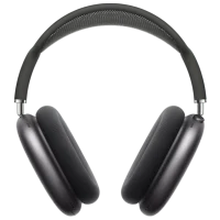 Apple AirPods Max Gray