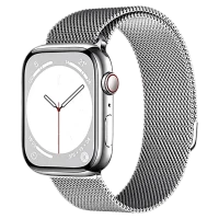 Curea metalică pentru Apple Watch 38–41 mm, Silver