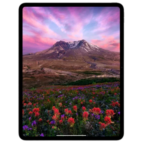 Apple iPad Pro 13" (2024) 8/256 Wi-Fi Silver