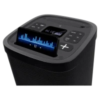 Портативная колонка SVEN PS-950, Чёрный 6