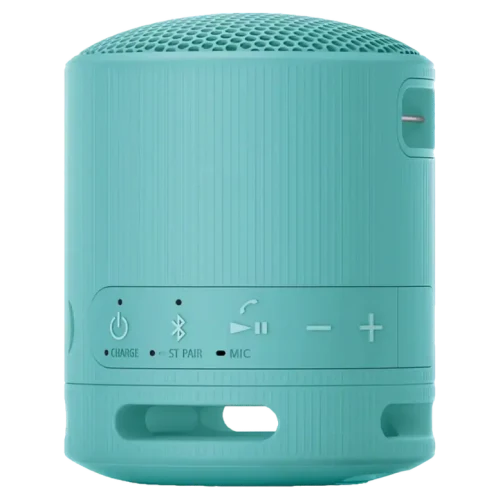 Портативная колонка Sony XB100, Синий