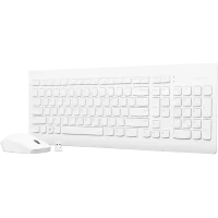 Клавиатура и мышь Lenovo 510 USB Combo (GX31F38001), White 3