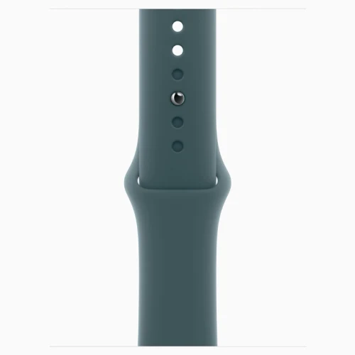 Apple Watch 10 Aluminum GPS Jet Black Sport Band Lake Green 46 mm