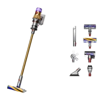Вертикальный Пылесос Dyson V12 Detect Slim Absolute, Золотой 3