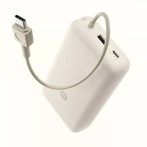 Портативный аккумулятор Xiaomi Mi 33W Power Bank, Tan