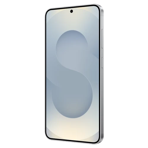 Samsung Galaxy S25+ 12/256 GB Silver Shadow