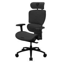 Scaun gaming ThunderX3 XTC Loft, Dark Gray 2