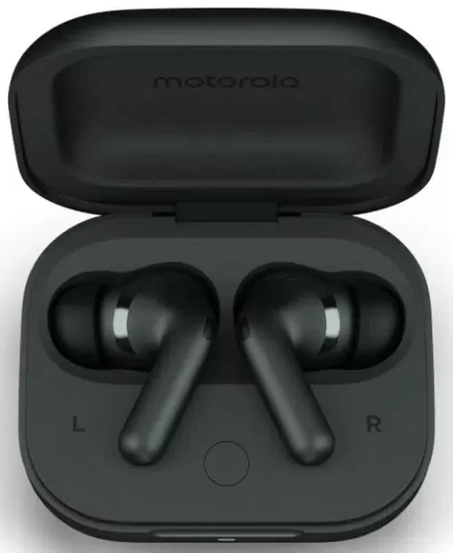 Наушники беспроводные Motorola MotoBuds+ Darkest Spruce