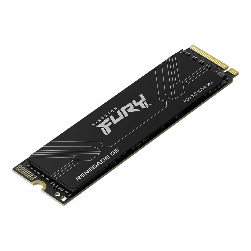 Накопитель SSD Kingston Fury Renegade G5 1ТБ (SFYR2S/1T0) 2