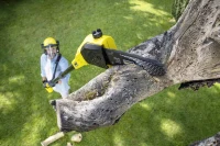 Fierăstrău de taiat la înălțime Karcher PSW 18-20 Battery (1.444-010.0) 2