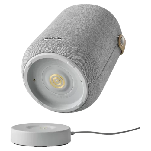 Портативная колонка Harman Kardon Citation 200, Серый