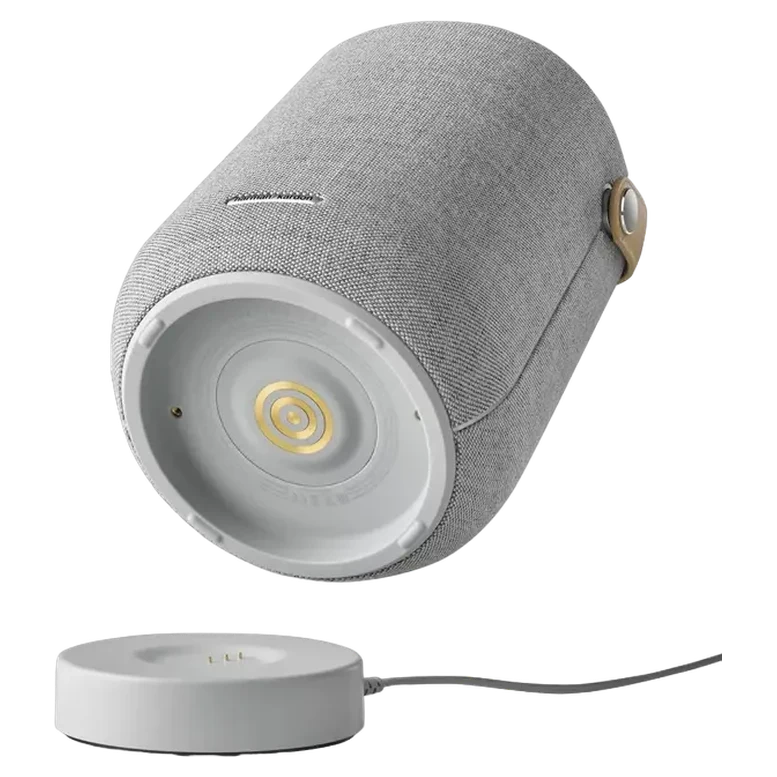 Портативная колонка Harman Kardon Citation 200, Серый 5