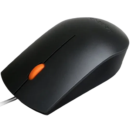 Компьютерная мышь Lenovo 300 USB