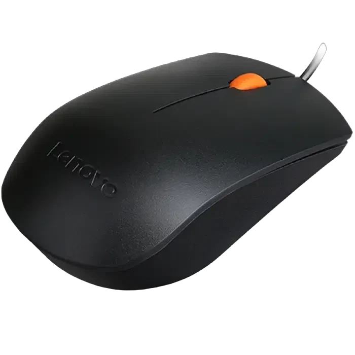 Компьютерная мышь Lenovo 300 USB 2