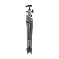 Tripied Foto-Video Vanguard ALTA PRO2+ 263AB 100, Cap trepied de minge, Gri 2