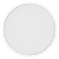 Xiaomi Smart Ceiling Light D20