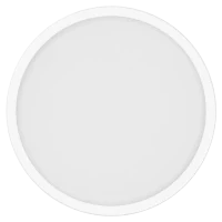 Xiaomi Smart Ceiling Light D30