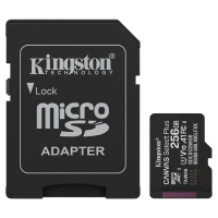 Карта памяти Kingston Canvas Select Plus, 256 ГБ, Black