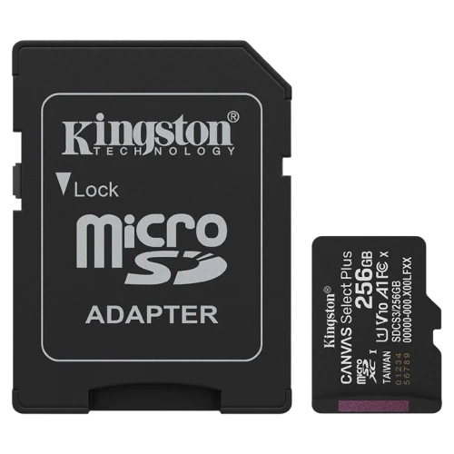 Карта памяти Kingston Canvas Select Plus, 256 ГБ, Black