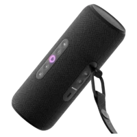Yandex station Street YNDX-00030BLK Black (Alisa) 30W 3
