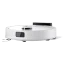 Alb