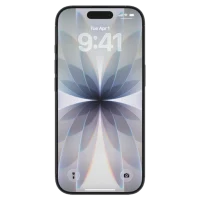 Apple iPhone 17 512 GB SS Black 2