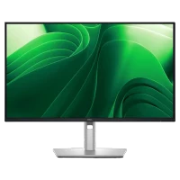 Монитор 23,8" DELL P2425DE, Silver