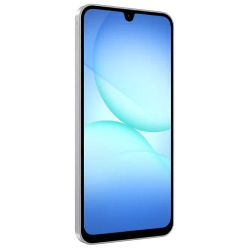 Samsung Galaxy A17 4/128 GB Grey
