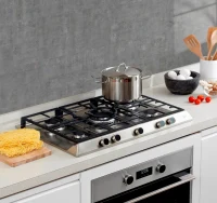 Plită încorporabilă cu gaz Teka EX 70.1 5G AI AL DR CI, Silver 2