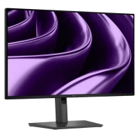 Монитор 23.8" DELL P2426HE, Серый 2