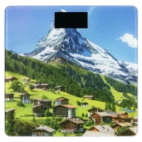 Cântar de podea Ardesto SCB-965MATTERHORN, Multicolor