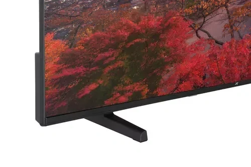 Телевизор JVC LT55VA3300, Black 4