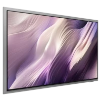 Televizor Samsung 65" QE65S99HXUXUA, Negru 6