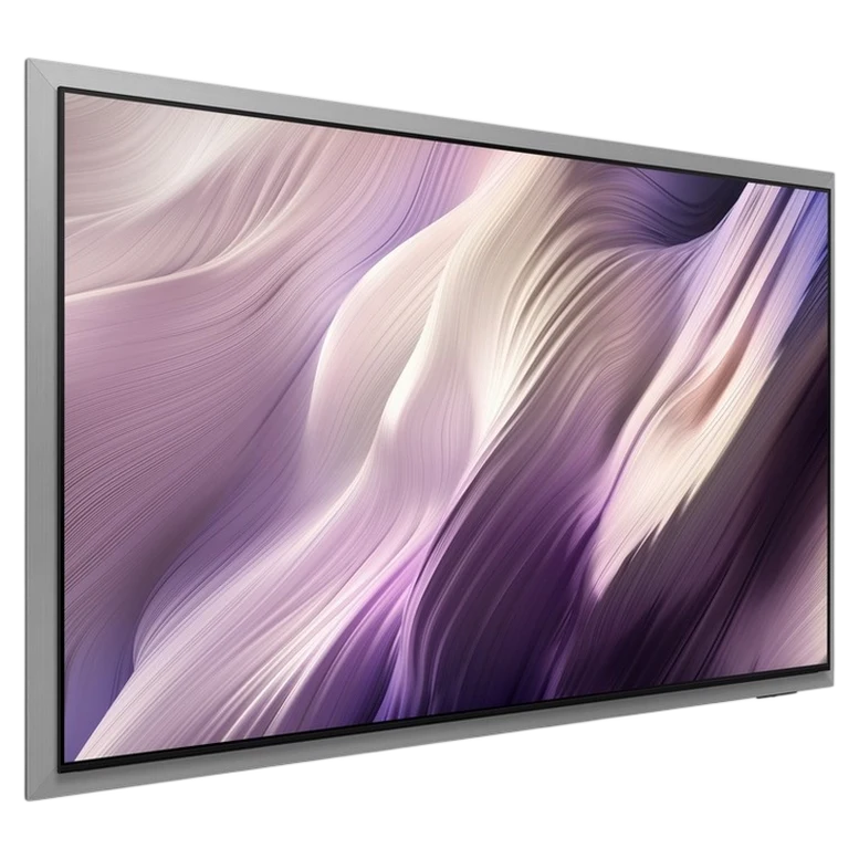 Televizor Samsung 65" QE65S99HXUXUA, Negru 6