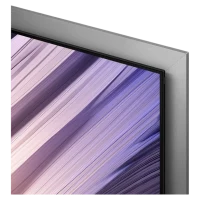 Televizor Samsung 65" QE65S99HXUXUA, Negru 9