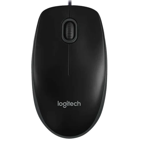 Компьютерная мышь Logitech B100 Black