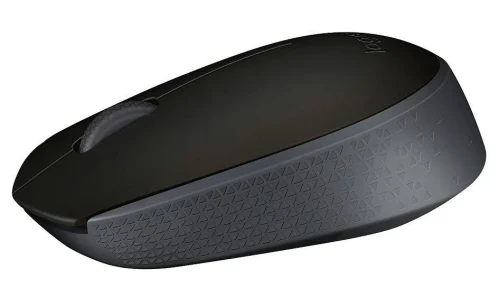 Компьютерная мышь Logitech M171 Black