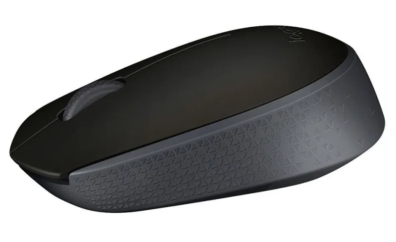 Mouse Logitech M171 Black 2