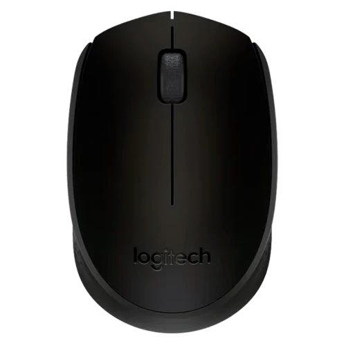 Компьютерная мышь Logitech M171 Black