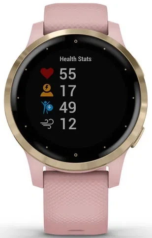 Смарт-часы Garmin Vivoactive 4S Dust Rose (010-02172-34)